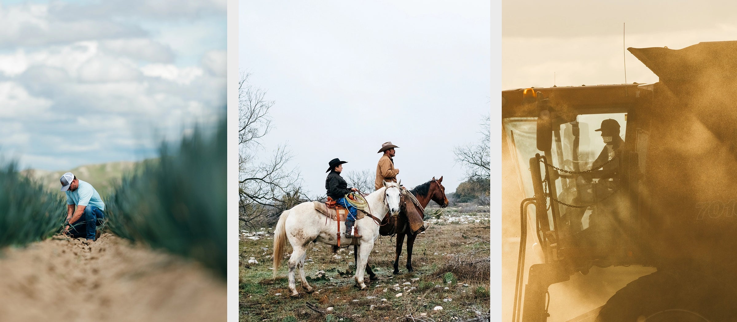 cowboy son texas horse Winston jacket ranch jacket