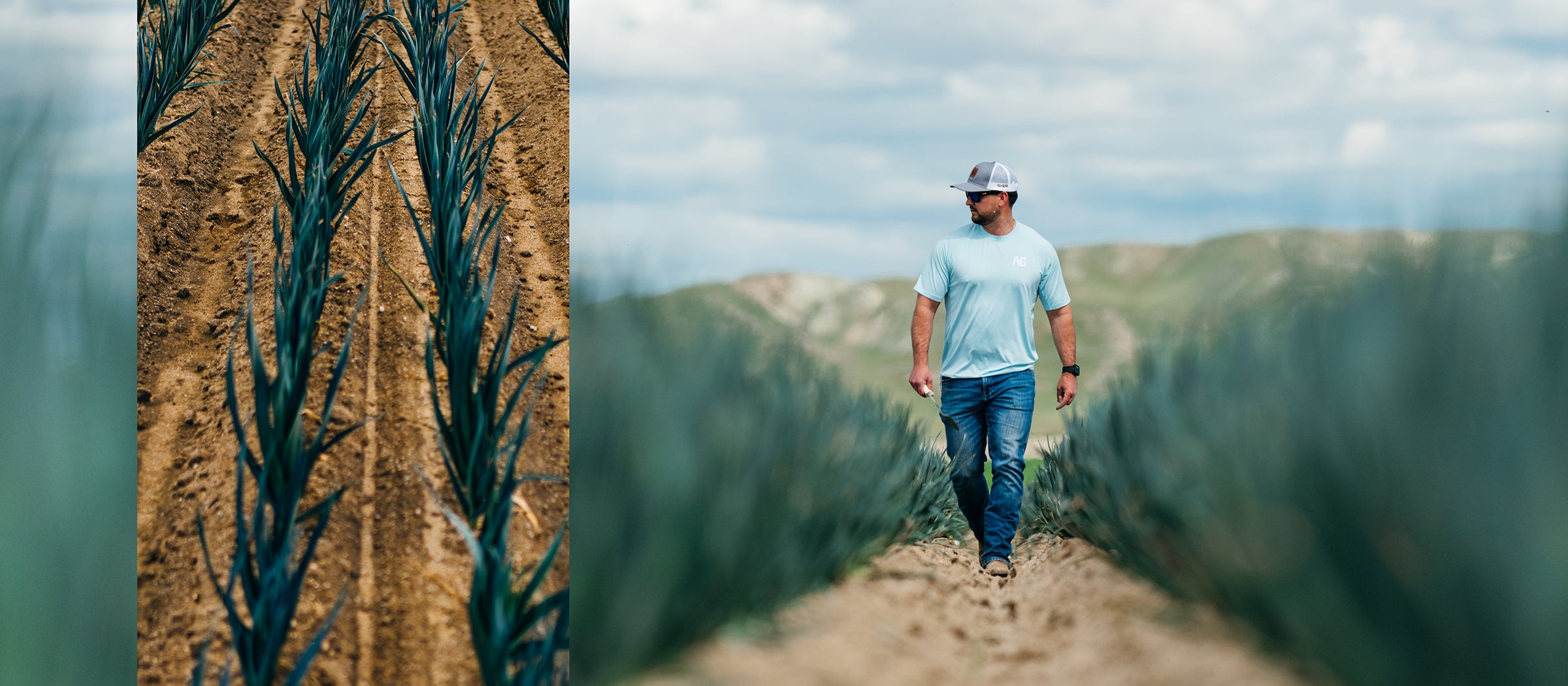 farmpro farm shirt vegetable field farmer rancher sun shirt