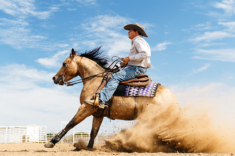 farm shirt ranch shirt horse cowboy work shirt bull riding rodeo