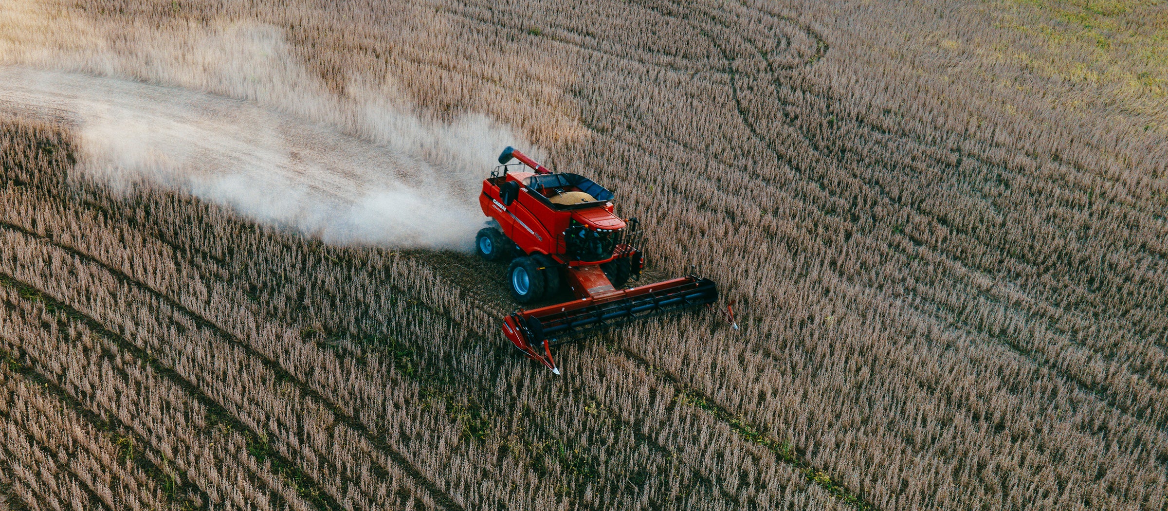 combine soybean harvest farm shirt